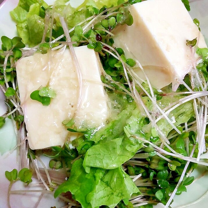 豆腐とレタスのフレンチサラダ